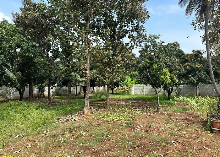 Rustic Village Farmhouse Bangalore